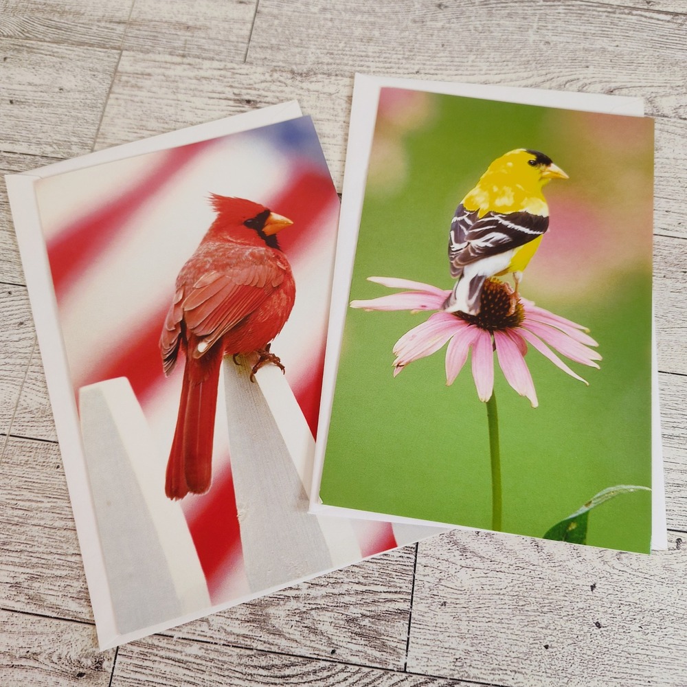 Set of two blank Bird Note Cards Cardinal Goldfinch Blank Inside Stationery